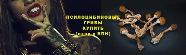 а пвп мука Алзамай