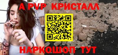 стафф Дубна
