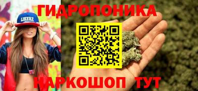 стафф Дубна