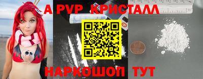 стафф Дубна