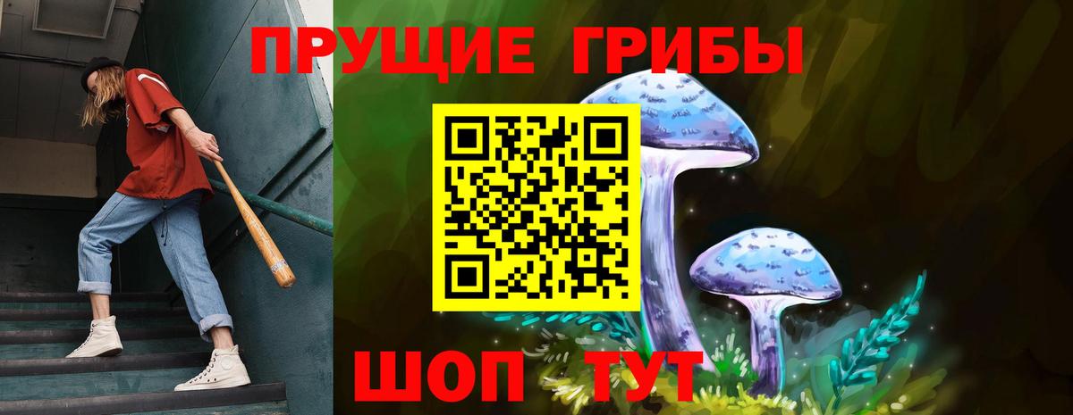 Псилоцибиновые грибы мухоморы Новороссийск
